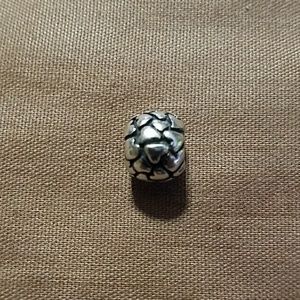 Pandora charm